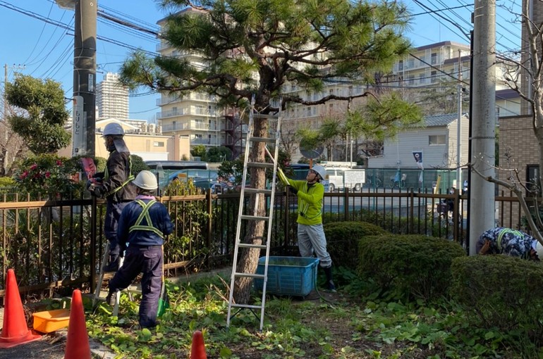 木