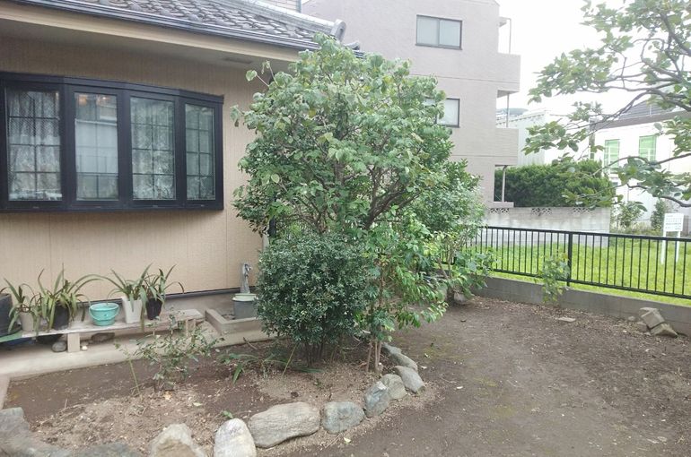 お手入れ後のお庭